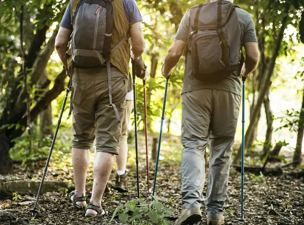 Senioren Wandern Wald — Stockfoto