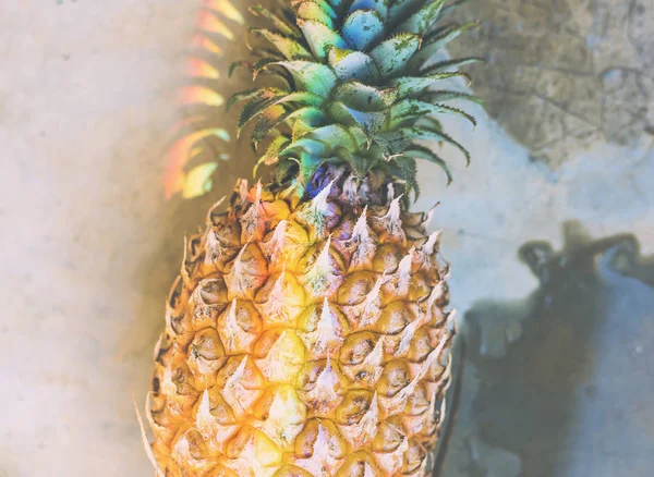 虹のプリズムの光と新鮮なパイナップルのクローズ アップ — ストック写真