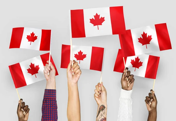 Kanada Bayrakları Sallayarak Elleri — Stok fotoğraf