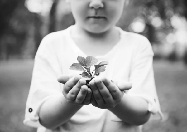 Kleine Jongen Een Plant Houden — Stockfoto