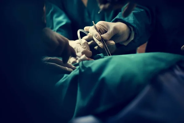 Dokter Sedang Melakukan Operasi — Stok Foto