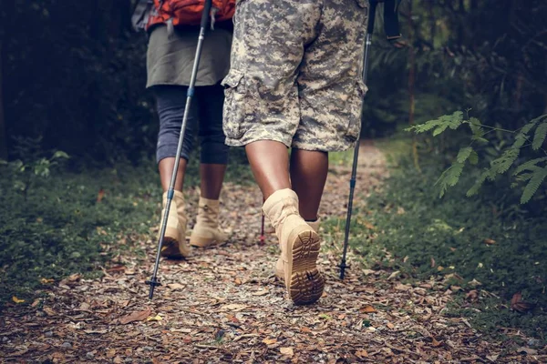 People trekking in the forest