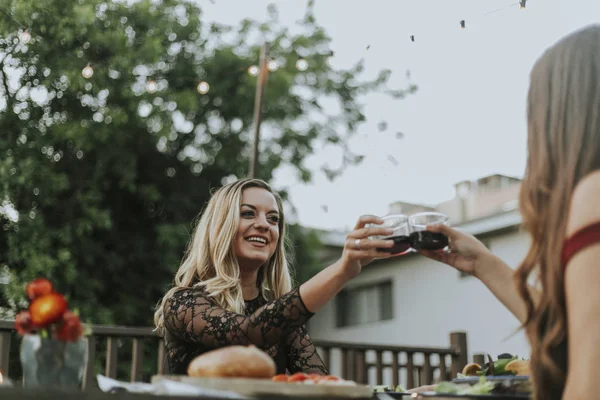 Meninas Bonitas Tendo Algum Vinho — Fotografia de Stock