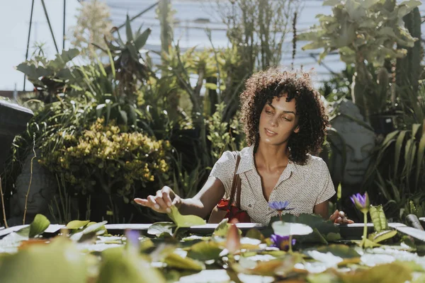 Krásná Žena Lotus Rybník — Stock fotografie