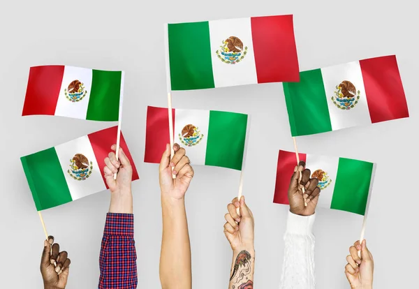 挥舞着墨西哥国旗的手 — 图库照片