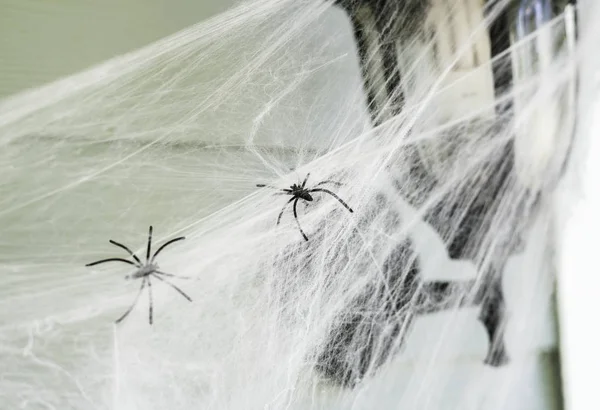 Puesto Luz Con Tela Araña Halloween — Foto de Stock