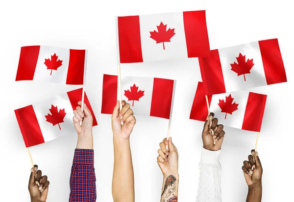 Kanada Bayrakları Sallayarak Elleri — Stok fotoğraf