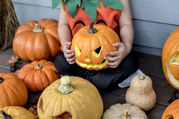 Halloween Pumpkins Ile Küçük Kız — Stok fotoğraf