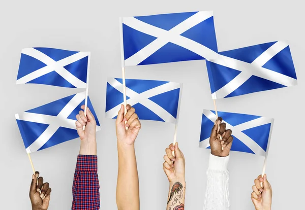 Руки Размахивают Флагами Шотландии — стоковое фото