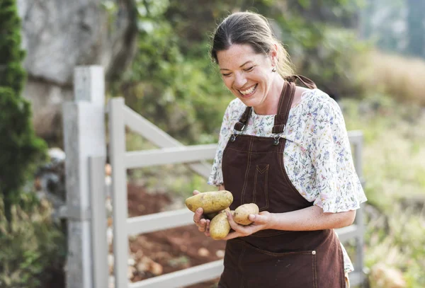 幸せな女の農場でジャガイモを収集 — ストック写真