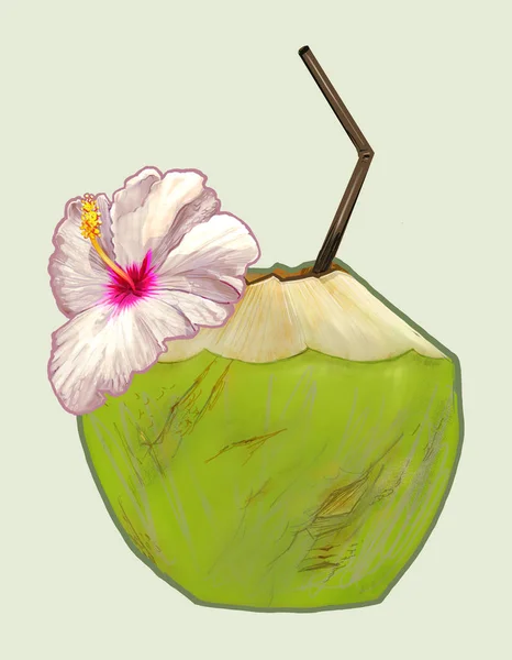 Тропическая Свежая Молодая Кокосовая Иллюстрация — стоковое фото