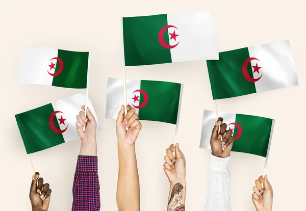 Hands Waving Flags Algeria — Stock Photo, Image