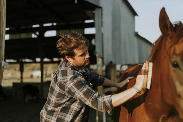 Junger Mann Pflegt Sein Pferd — Stockfoto