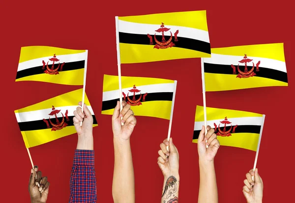 ブルネイの旗を振る手 — ストック写真
