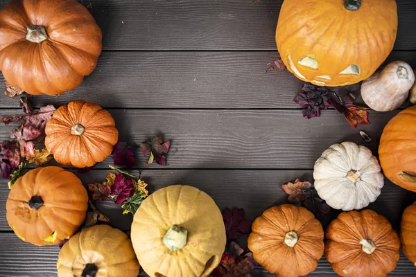 Halloween Pumpkins Wooden Background — Stock Photo, Image