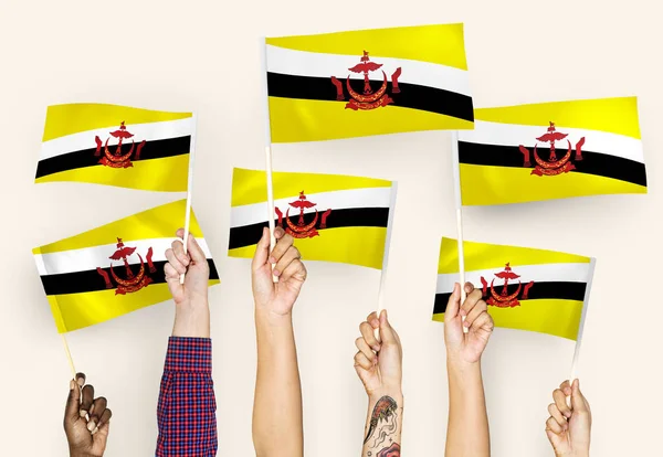Руки Размахивают Флагами Брунея — стоковое фото