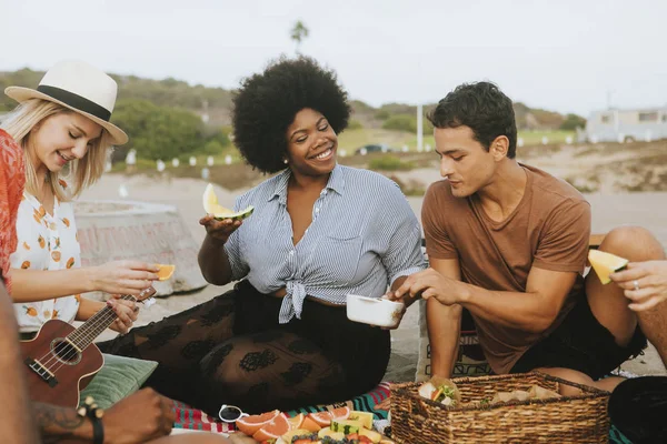 Freunde Amüsieren Sich Beim Picknick — Stockfoto