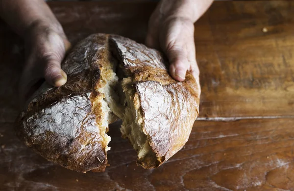 Ψωμί Φρατζόλα Τροφίμων Φωτογραφίας Ιδέα Συνταγή — Φωτογραφία Αρχείου