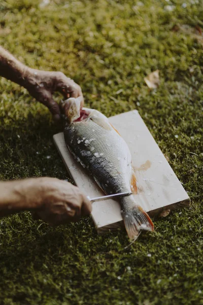 Ψαράς Που Εκτρέφει Ψάρια Ξύλο Κοπής — Φωτογραφία Αρχείου