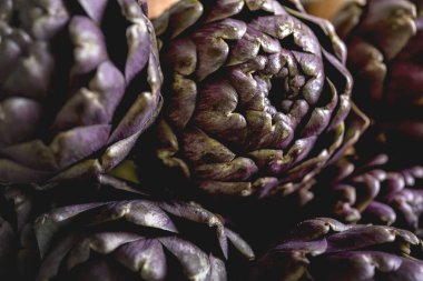 taze enginar yakın çekim