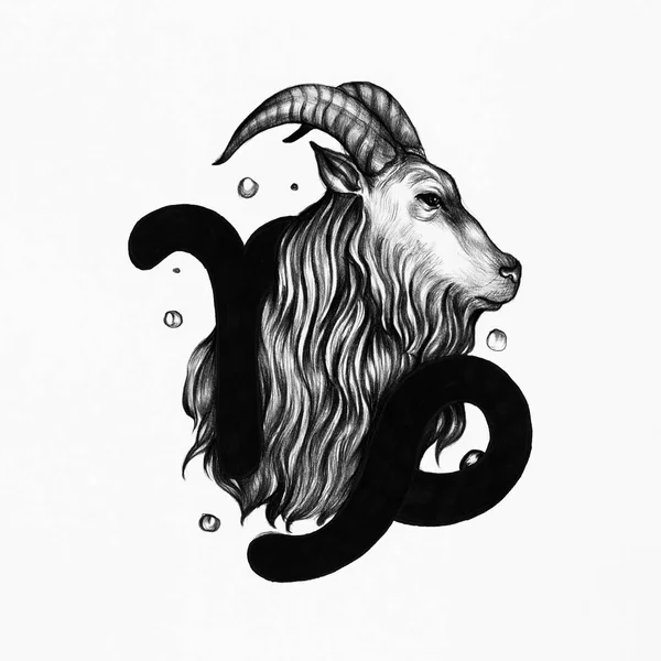 Hand Drawn Horoscope Symbol Illustration — Stock Photo, Image