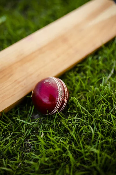 Cricketschläger Und Ball Auf Grünem Gras — Stockfoto