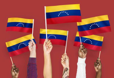 Venezuela bayrakları sallayarak elleri