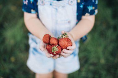 Genç çocuk tutarak taze çilek