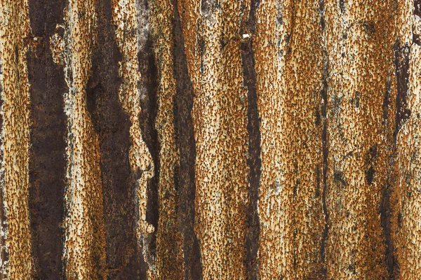 Close Wooden Plank Background — Stock Photo, Image