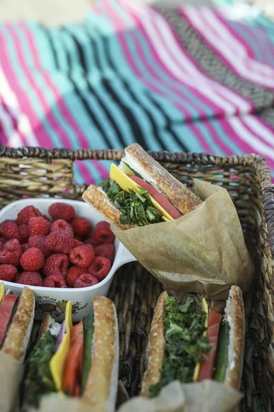 Sanduíches Vegan Para Almoço Praia — Fotografia de Stock