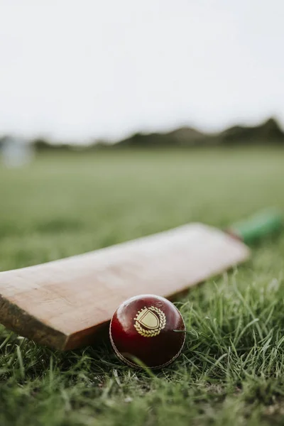 クリケットのバットと緑の草の上にボール — ストック写真