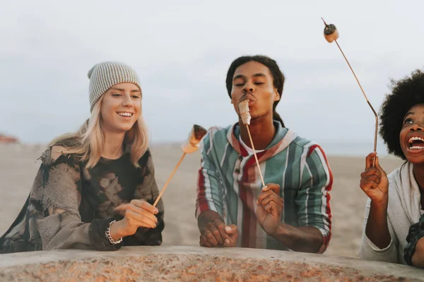 Friends Roasting Marshmallows Mores — Stock Photo, Image
