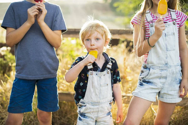 Kinderen Eten Ijs Ijslollys — Stockfoto