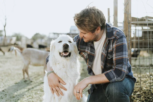 Man His Dog — Stock Photo, Image