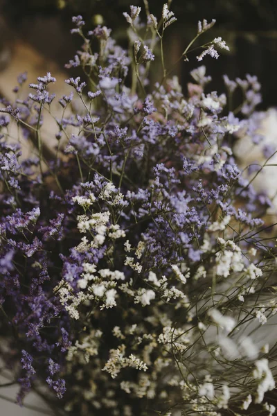 Primer Plano Las Flores Caspia Blanca Púrpura — Foto de Stock