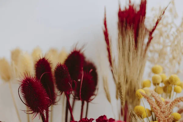 Close Van Diverse Gedroogde Rode Gele Bloemen — Stockfoto