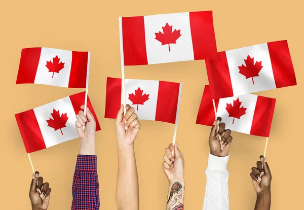 Manos Ondeando Banderas Canadá — Foto de Stock