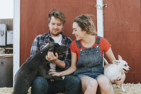 Happy Couple Living Rescued Dogs — Stock Photo, Image