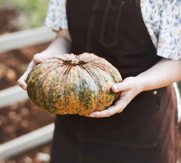 Female Farmer Holding Large Pumpkin — Stock Photo, Image