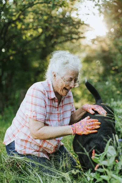 Seniorin Streichelt Ihren Hund Garten — Stockfoto