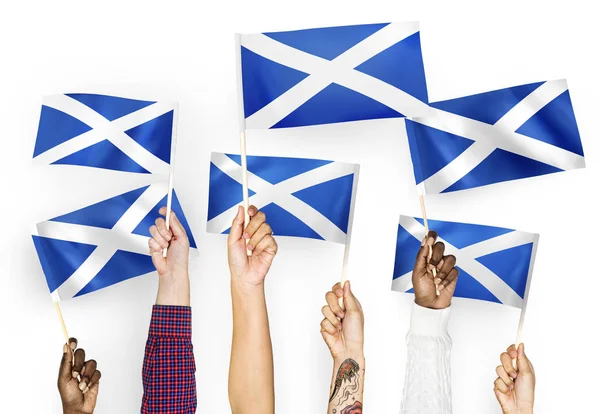 Les Mains Agitant Les Drapeaux Écosse — Photo