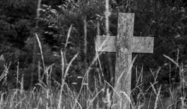 唯一石头十字架在森林 — 图库照片