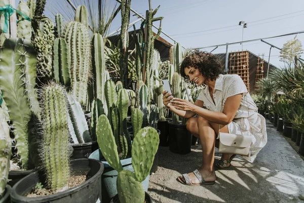 Wanita Mengambil Foto Kaktus Kebun Raya — Stok Foto
