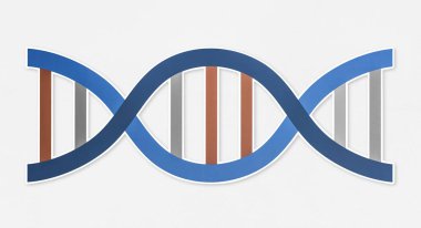 DNA çift sarmalı strand simgesi