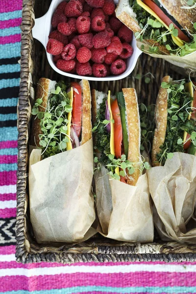 Sanduíches Vegan Para Almoço Praia — Fotografia de Stock