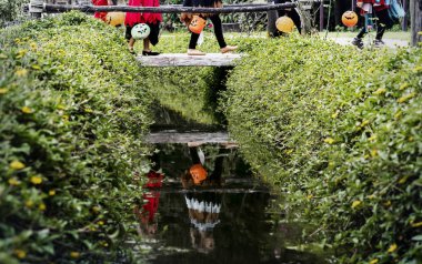 Genç çocuklar hüner ya da Cadılar Bayramı sırasında tedavi