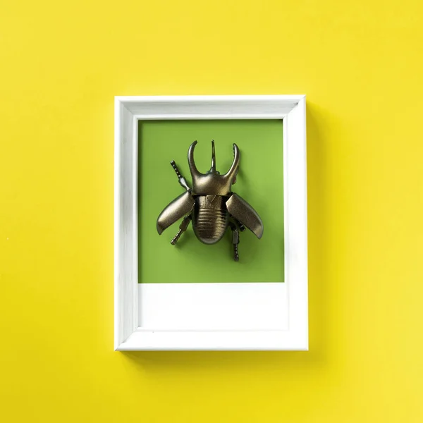 翼のある甲虫の昆虫グッズ オブジェクト — ストック写真