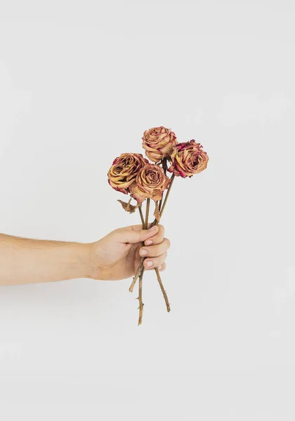Hand Holding Bunch Dried Roses — Stock Photo, Image