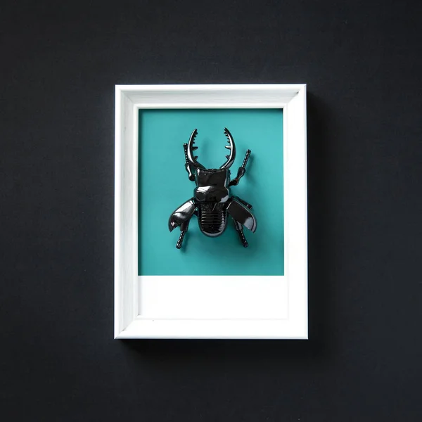 Gevleugelde Kever Insect Speelgoed Object — Stockfoto