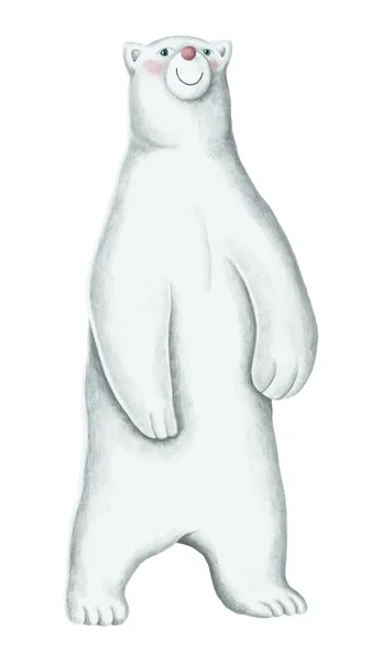 手描きの立っている白いシロクマ — ストックベクタ